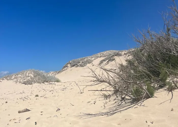 Apartman Stazzo Naracumar *